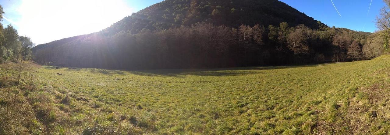 Chambre Cevennes: Piscine, Lamas, Riviere Cros  Екстериор снимка