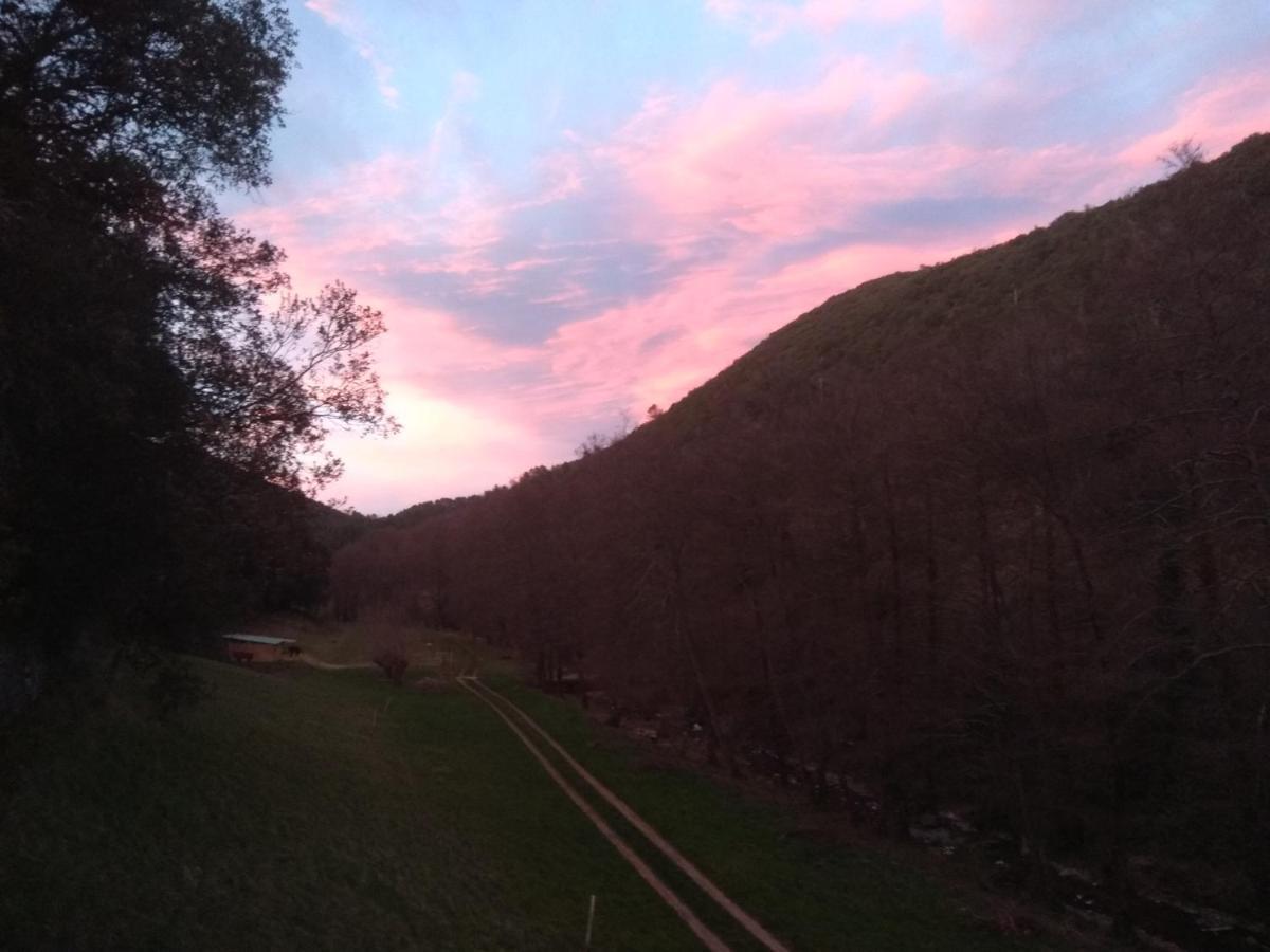 Chambre Cevennes: Piscine, Lamas, Riviere Cros  Екстериор снимка